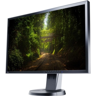 Monitor EIZO 23" EV2316W 1920x1080p TN B