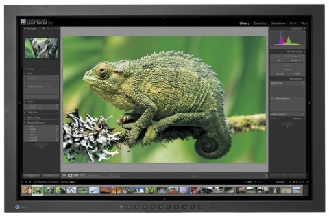 Monitor EIZO 24" CG241W 1920x1200p VA bez uchwytu A-